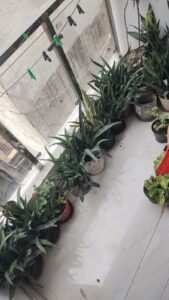2 BHK + 2 Bath (680 sqft) Flat/Apartment for Rent in Transformer Gali, Neb Sarai